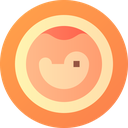 Embryon